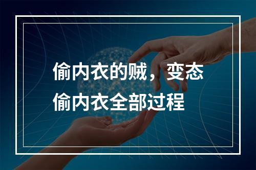 偷内衣的贼，变态偷内衣全部过程