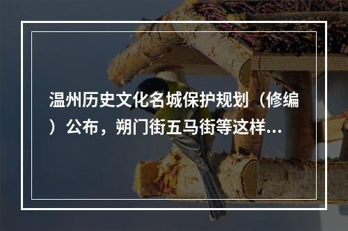 温州历史文化名城保护规划（修编）公布，朔门街五马街等这样规划