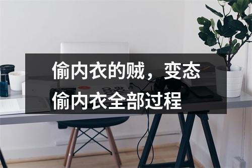 偷内衣的贼，变态偷内衣全部过程