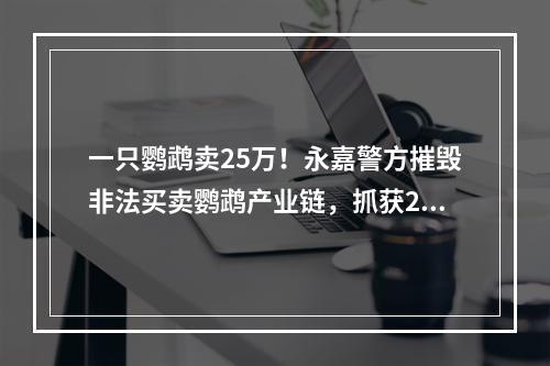 一只鹦鹉卖25万！永嘉警方摧毁非法买卖鹦鹉产业链，抓获27人！