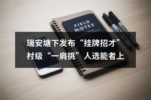 瑞安塘下发布“挂牌招才”村级“一肩挑”人选能者上