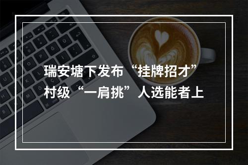 瑞安塘下发布“挂牌招才”村级“一肩挑”人选能者上