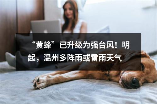 “黄蜂”已升级为强台风！明起，温州多阵雨或雷雨天气