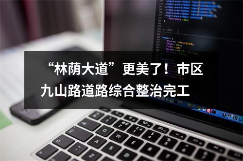 “林荫大道”更美了！市区九山路道路综合整治完工