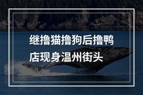 继撸猫撸狗后撸鸭店现身温州街头