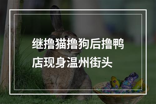 继撸猫撸狗后撸鸭店现身温州街头