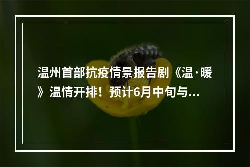 温州首部抗疫情景报告剧《温·暖》温情开排！预计6月中旬与观众见面