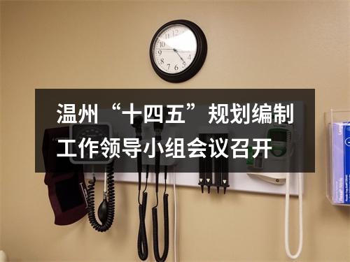 温州“十四五”规划编制工作领导小组会议召开