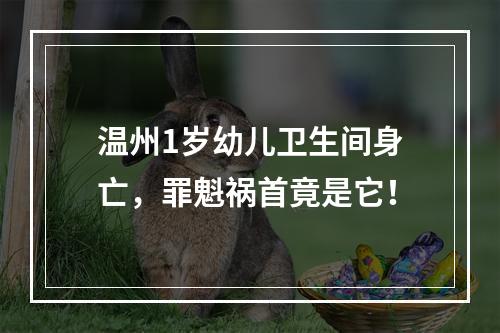 温州1岁幼儿卫生间身亡，罪魁祸首竟是它！
