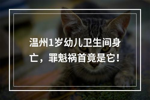 温州1岁幼儿卫生间身亡，罪魁祸首竟是它！