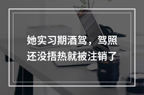 她实习期酒驾，驾照还没捂热就被注销了