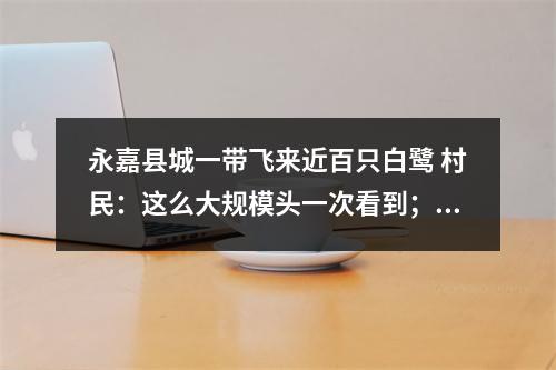 永嘉县城一带飞来近百只白鹭 村民：这么大规模头一次看到；专家：生态环境持续改善
