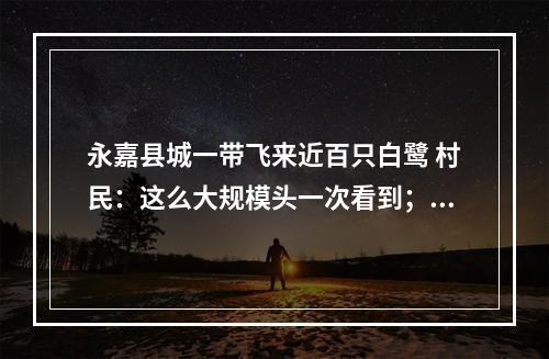 永嘉县城一带飞来近百只白鹭 村民：这么大规模头一次看到；专家：生态环境持续改善