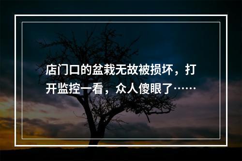 店门口的盆栽无故被损坏，打开监控一看，众人傻眼了……