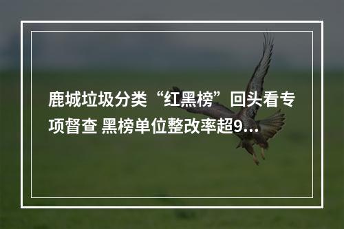 鹿城垃圾分类“红黑榜”回头看专项督查 黑榜单位整改率超96%