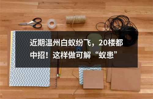 近期温州白蚁纷飞，20楼都中招！这样做可解“蚁患”
