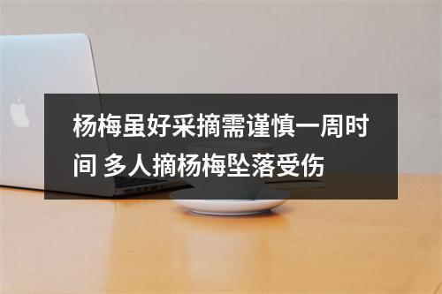 杨梅虽好采摘需谨慎一周时间 多人摘杨梅坠落受伤