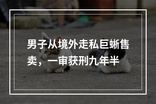 男子从境外走私巨蜥售卖，一审获刑九年半