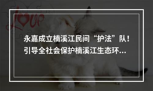 永嘉成立楠溪江民间“护法”队！引导全社会保护楠溪江生态环境