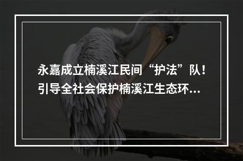 永嘉成立楠溪江民间“护法”队！引导全社会保护楠溪江生态环境
