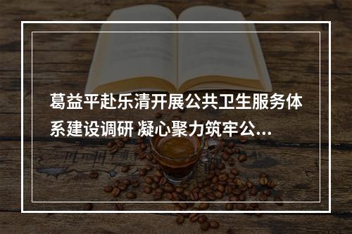 葛益平赴乐清开展公共卫生服务体系建设调研 凝心聚力筑牢公共卫生防线