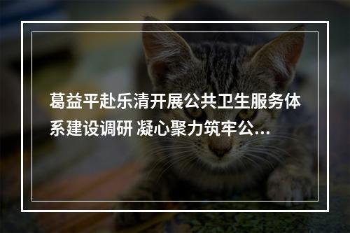 葛益平赴乐清开展公共卫生服务体系建设调研 凝心聚力筑牢公共卫生防线
