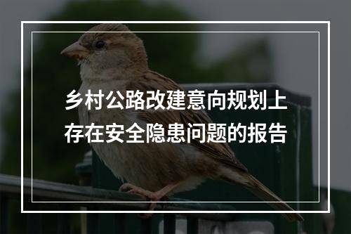 乡村公路改建意向规划上存在安全隐患问题的报告