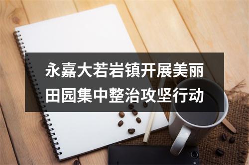 永嘉大若岩镇开展美丽田园集中整治攻坚行动