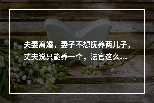 夫妻离婚，妻子不想抚养两儿子，丈夫说只能养一个，法官这么判...