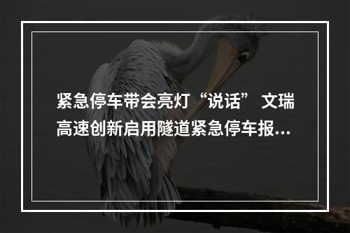 紧急停车带会亮灯“说话” 文瑞高速创新启用隧道紧急停车报警系统