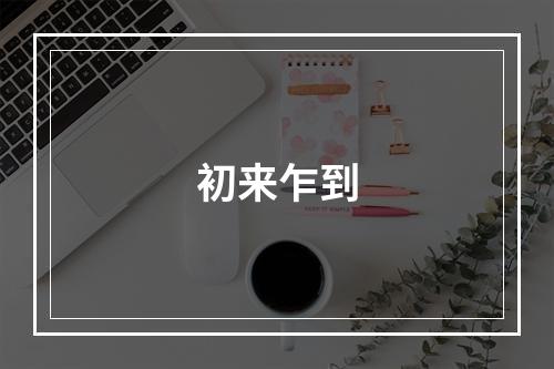 初来乍到