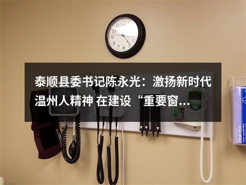 泰顺县委书记陈永光：激扬新时代温州人精神 在建设“重要窗口”中展现泰顺担当