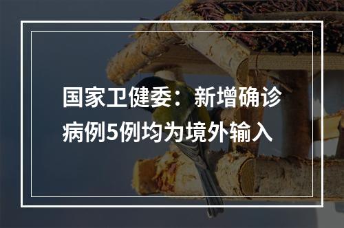 国家卫健委：新增确诊病例5例均为境外输入