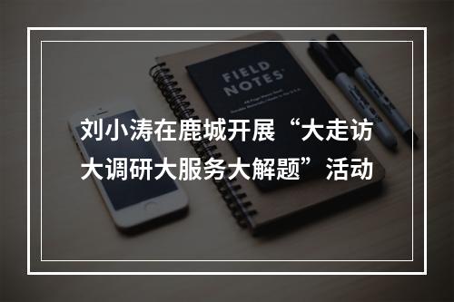 刘小涛在鹿城开展“大走访大调研大服务大解题”活动
