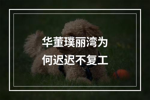 华董璞丽湾为何迟迟不复工
