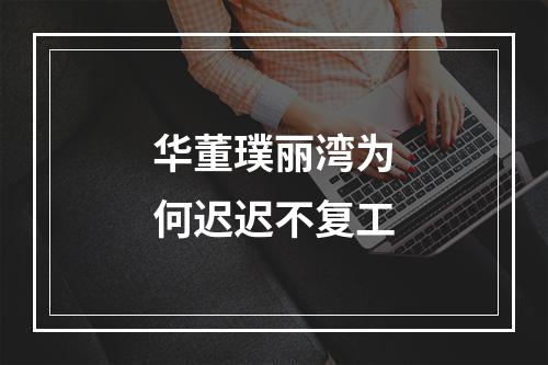 华董璞丽湾为何迟迟不复工