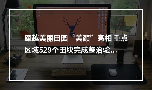 瓯越美丽田园“美颜”亮相 重点区域529个田块完成整治验收