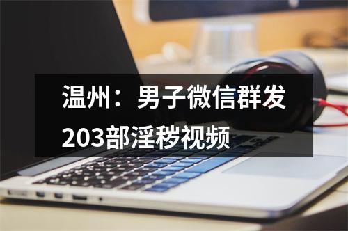 温州：男子微信群发203部淫秽视频