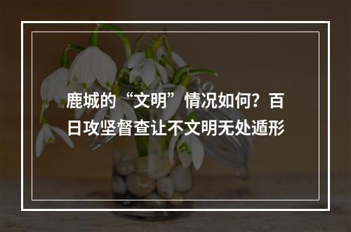鹿城的“文明”情况如何？百日攻坚督查让不文明无处遁形