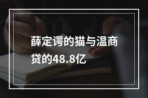 薛定谔的猫与温商贷的48.8亿