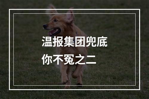 温报集团兜底你不冤之二