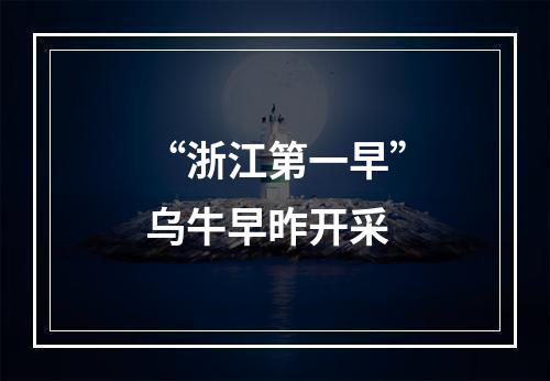 “浙江第一早”乌牛早昨开采