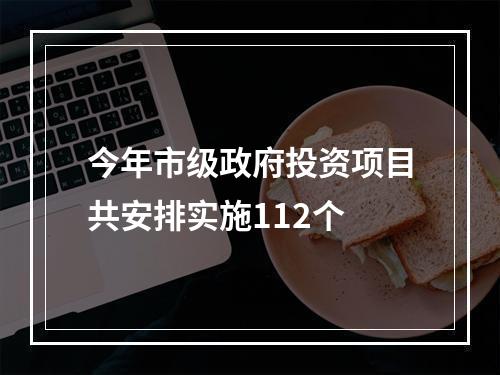 今年市级政府投资项目共安排实施112个