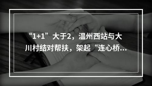 “1+1”大于2，温州西站与大川村结对帮扶，架起“连心桥”