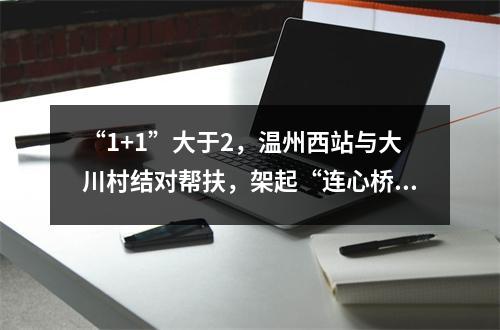 “1+1”大于2，温州西站与大川村结对帮扶，架起“连心桥”