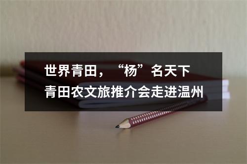 世界青田，“杨”名天下 青田农文旅推介会走进温州