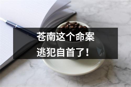 苍南这个命案逃犯自首了！
