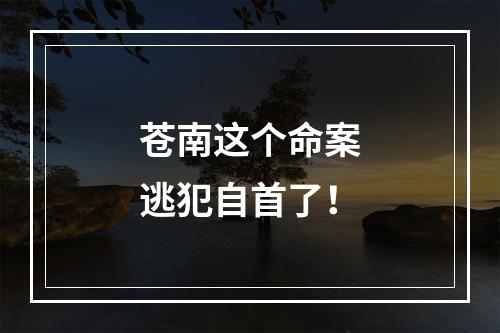 苍南这个命案逃犯自首了！