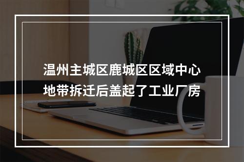 温州主城区鹿城区区域中心地带拆迁后盖起了工业厂房