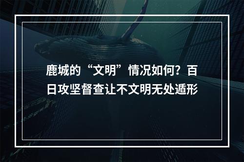 鹿城的“文明”情况如何？百日攻坚督查让不文明无处遁形